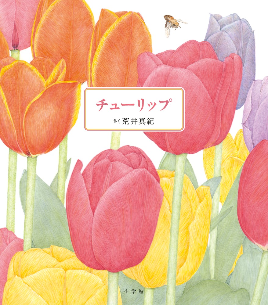 チューリップ | 書籍 | 小学館