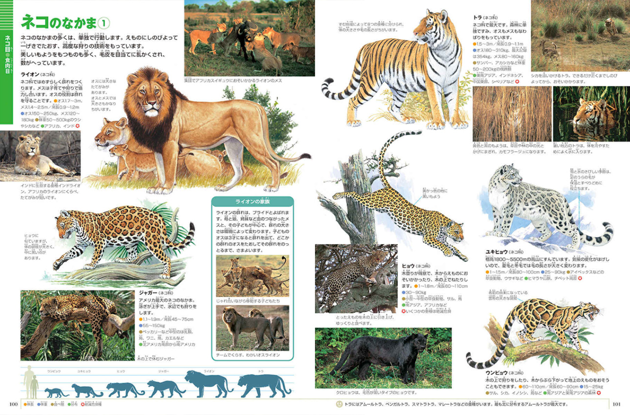 新版］動物 DVDつき | 小学館の図鑑NEOシリーズ | 小学館