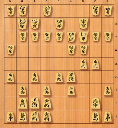 四間飛車の本 12冊セット 四間飛車に関する書籍セット 12冊 四間飛車の