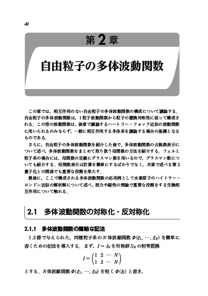 電子書籍】多粒子系の量子論（藪 博之 著）【物理学】