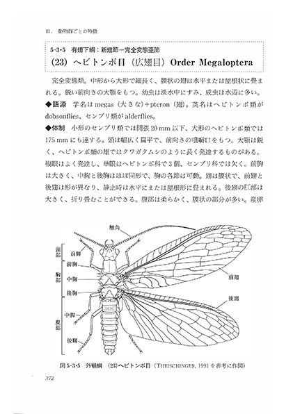 書籍紹介＞ 節足動物の多様性と系統（石川良輔 編集）【生物学】