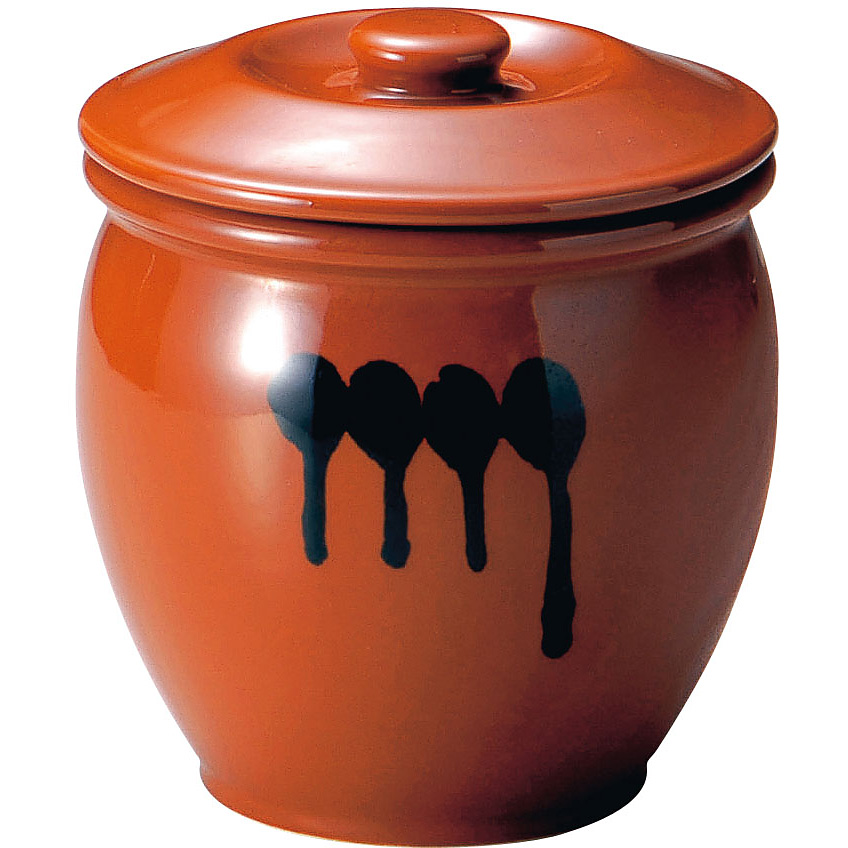 陶器 半胴 かめ 蓋付 5号 9.0リットル - 調理器具のSHOKUBI