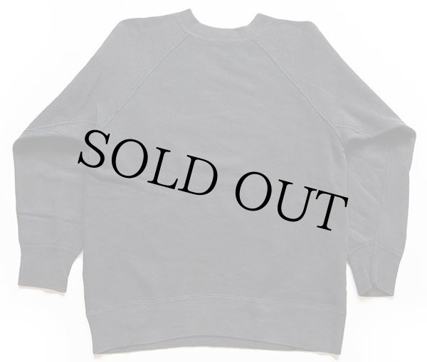 60s ARKANSAS RAZORBACKS イノシシ カラーフロッキープリント コットン