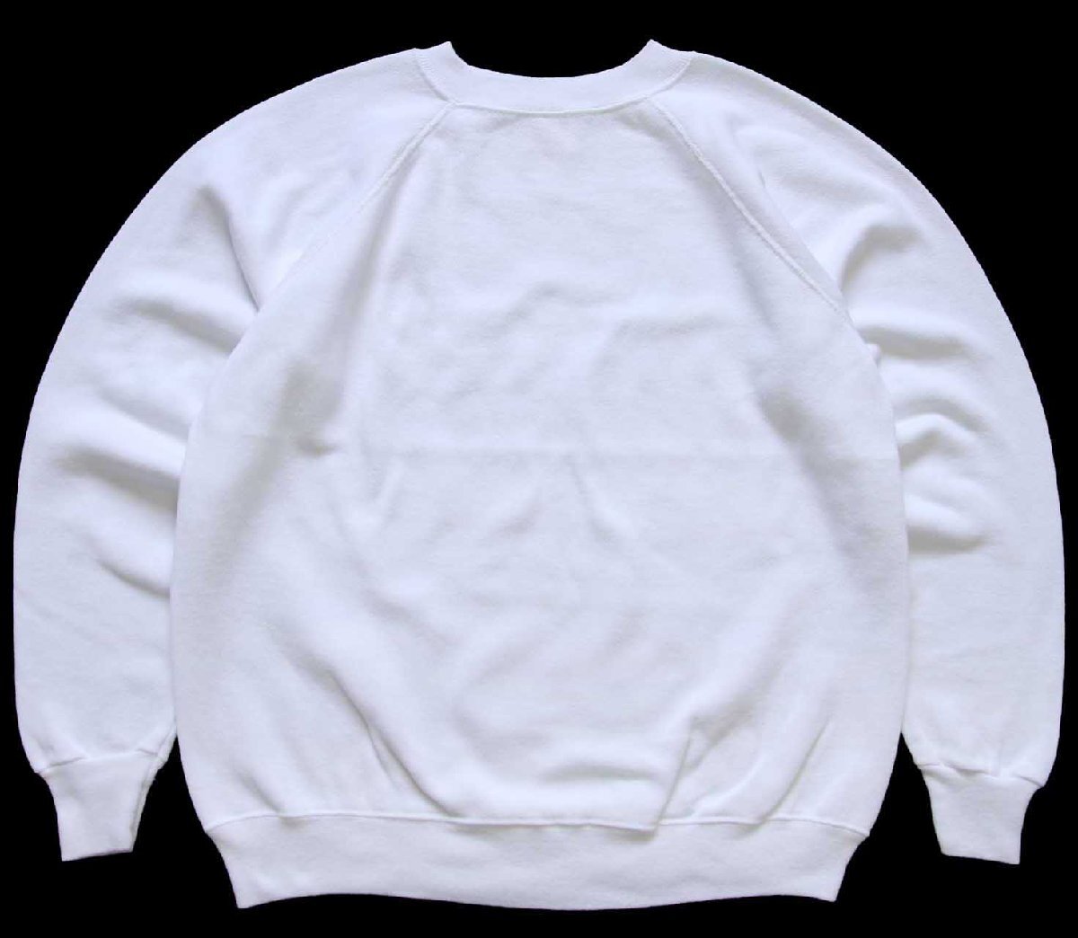 90s USA製 Hanes SPORT 無地 スウェット 白 L☆ブランク - Sixpacjoe