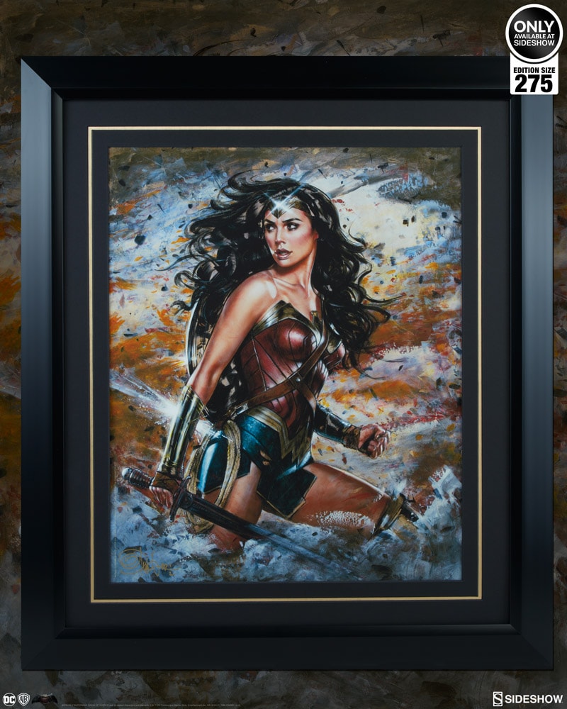 DC Comics Wonder Woman Amazon Warrior Art Print by Ozone Pro