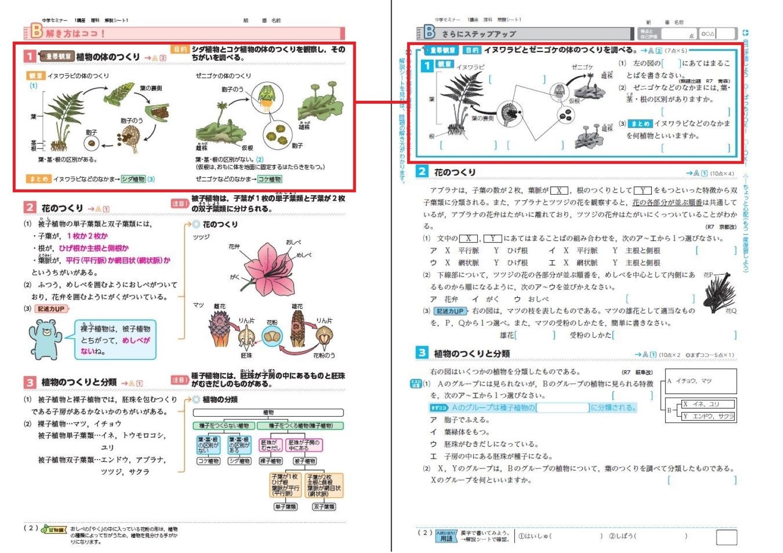 中学セミナー | 教材を探す | 新学社