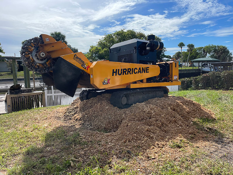 Hurricane TRX Series Track-Mounted Stump Cutters « Carlton