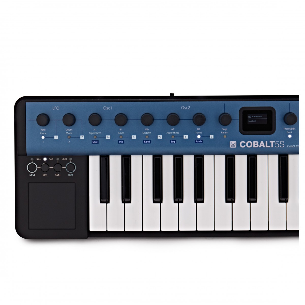 Modal electronics Cobalt 5S Synthesizer