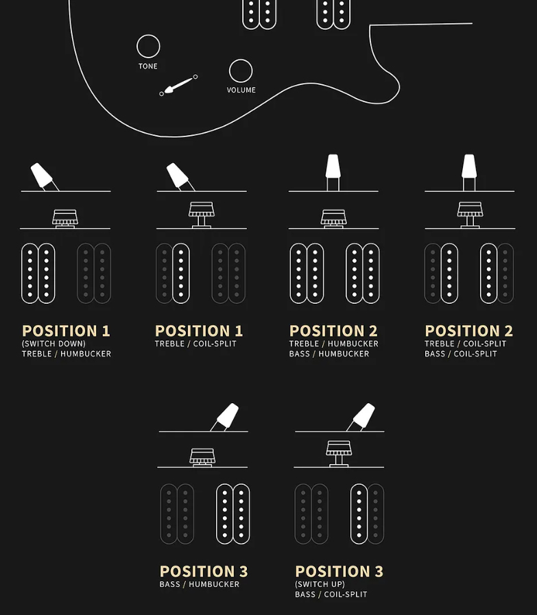 Prs SE Exotic Veneer Custom 24 Burled Ash - natural Double cut