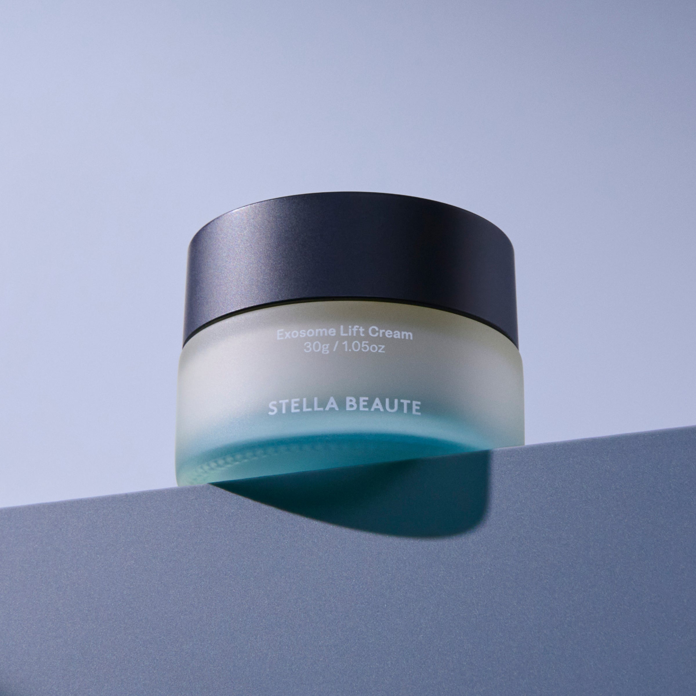 Beauty Face Stick 2.0