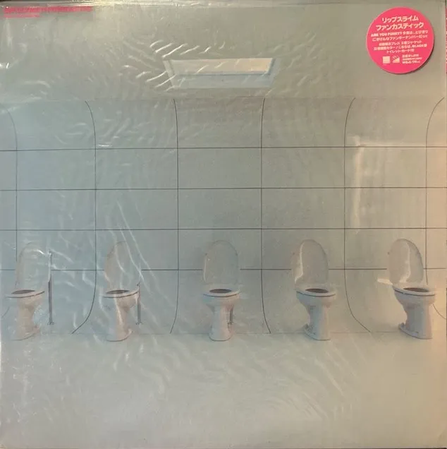 RIP SLYME / FUNKASTIC [12inch - WQJL-78 (A)]：JAPANESE：アナログ