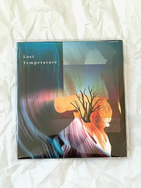 武田理沙×中尾憲太郎×山本達久 / LOST TEMPERATURE [CD - CBZM 05