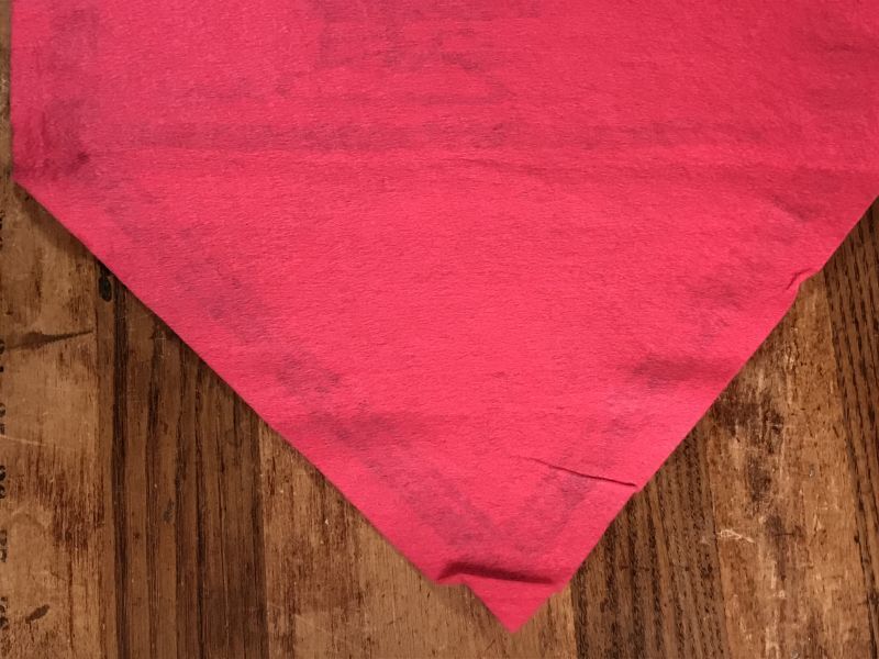 Peanuts Snoopy Charlie Brown “Win” Felt Banner チャーリー