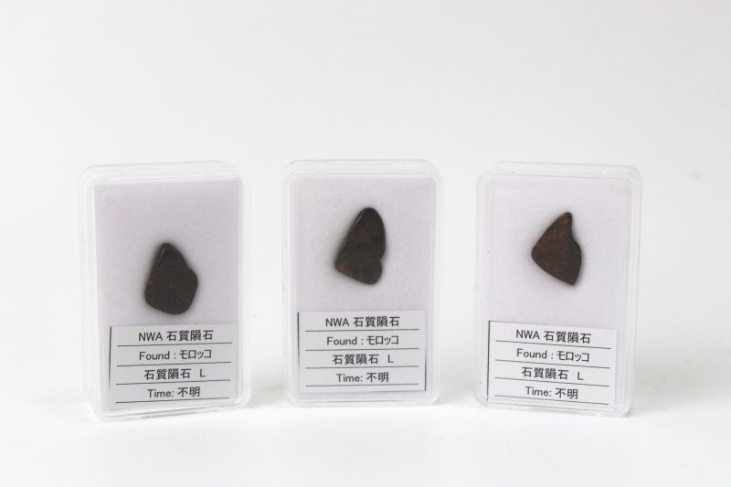 隕石】NWA石質隕石 石質隕石L モロッコ産 品番：1305413054｜置物