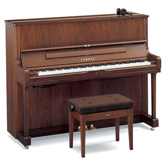 クリスマスセール2022 町田店 | スガナミ楽器 町田店 | スガナミ楽器