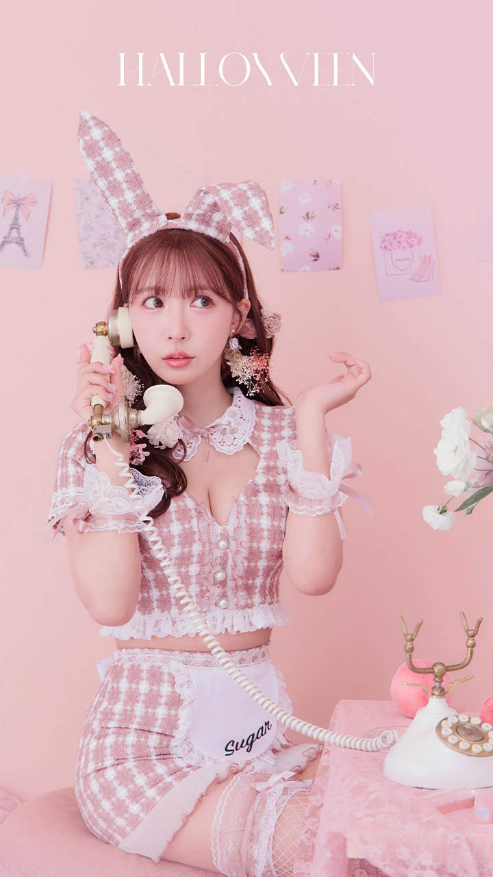 SALE!!】【即日発送】【ハロウィン】 ツイードバニーメイド