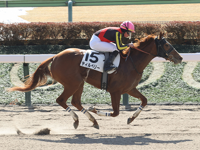 Sunday Thoroughbred Club サンデーサラブレッドクラブ