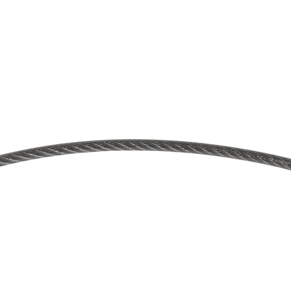 ファイテン（PHITEN）（メンズ、レディース）RAKUWA ネックレス