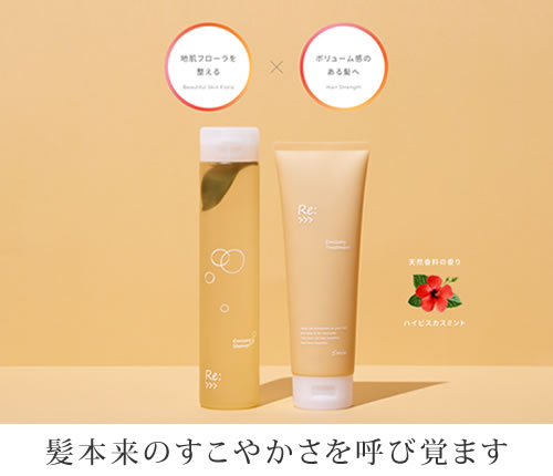 リ：エミサリー トリートメント 詰替用エコパック 600g【リニューアル