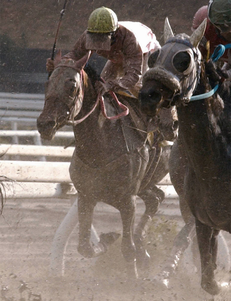 ハルウララ、当たらない馬券がお守り 武豊騎乗で大フィーバー