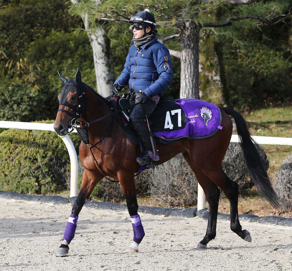 京都新馬戦】6億超え高額馬アドマイヤビルゴ、“遺志”で武豊騎乗