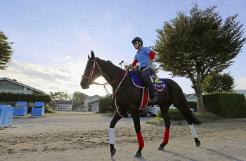 菊花賞】コントレイルが史上初の親子3冠！福永「なんとかしのいでくれ
