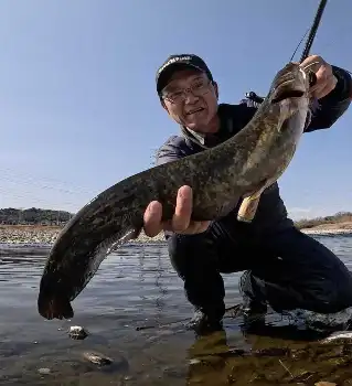 G1尼崎センプルC】中道善博 名腕が斬る！番外編 - スポニチ