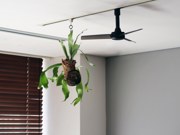 ダクトレールファン DCモーター ベーシック Φ40 シーリングファン DUCT