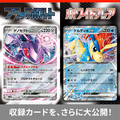 拡張パック「ブラックボルト」「ホワイトフレア」｜ポケモンカード