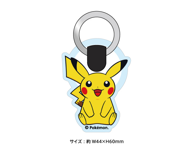 ポケットモンスター ソード・シールド ＋ エキスパンションパス』のお