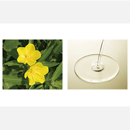 アリュー クリーム(本体 30g): 商品詳細 | ポーラ公式 エイジングケア