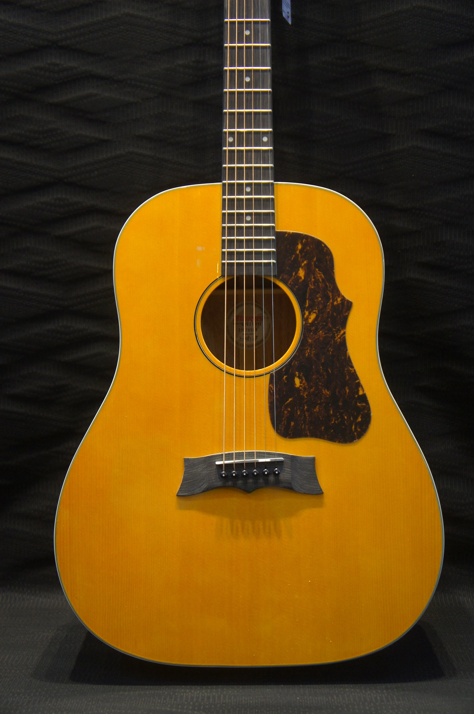 Morris / G-021 商品詳細｜楽器の店ポンポロプー｜初心者から上級者