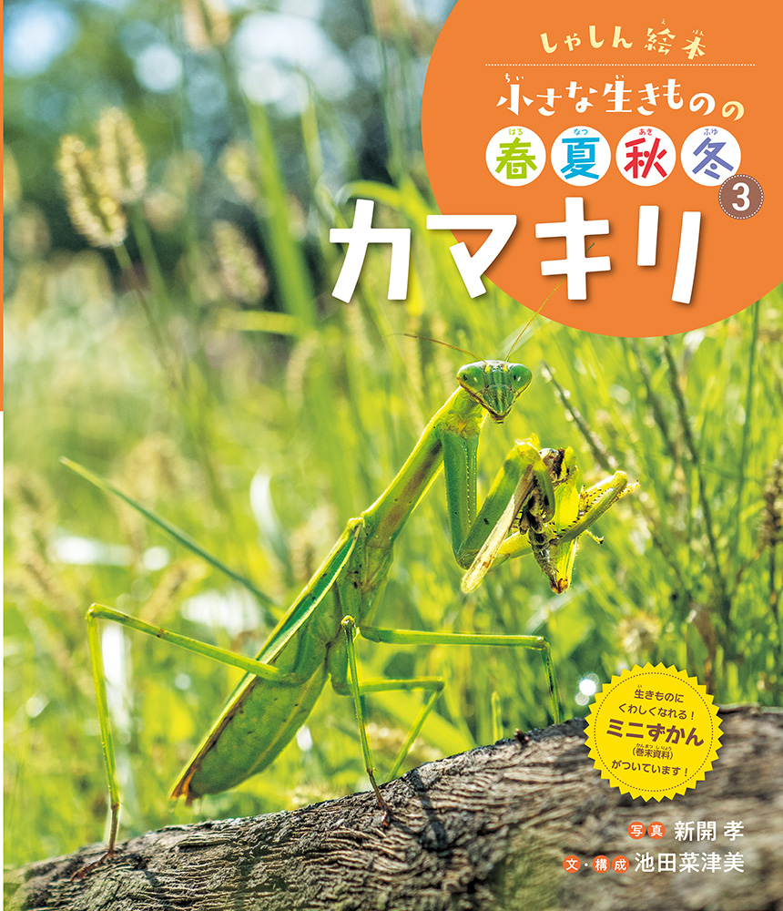 カマキリ｜しゃしん絵本 小さな生きものの春夏秋冬｜ノンフィクション