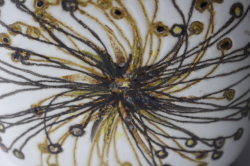 PetaPeta北欧雑貨ショップ＞＞ロイヤルコペンハーゲン＞＞バッカ＞＞塩入れ