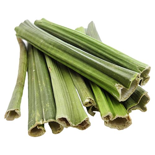 PRO スぺシャリッシュ かじる青パパイヤの茎 25g/あにまるキャンパス