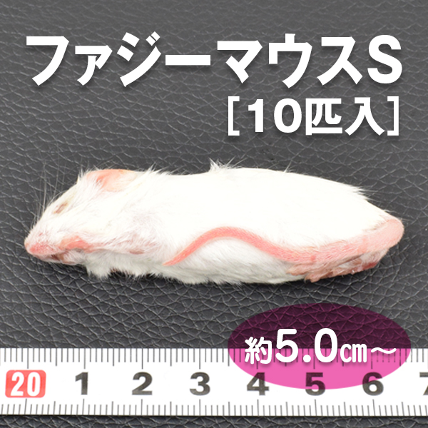 冷凍マウス / PETMAP