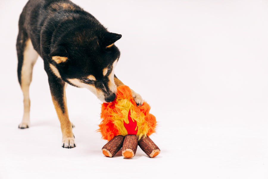 Cozy Campfire: Plush Camp Dog Toy by P.L.A.Y.