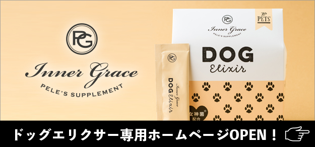 ペレ・グレイス