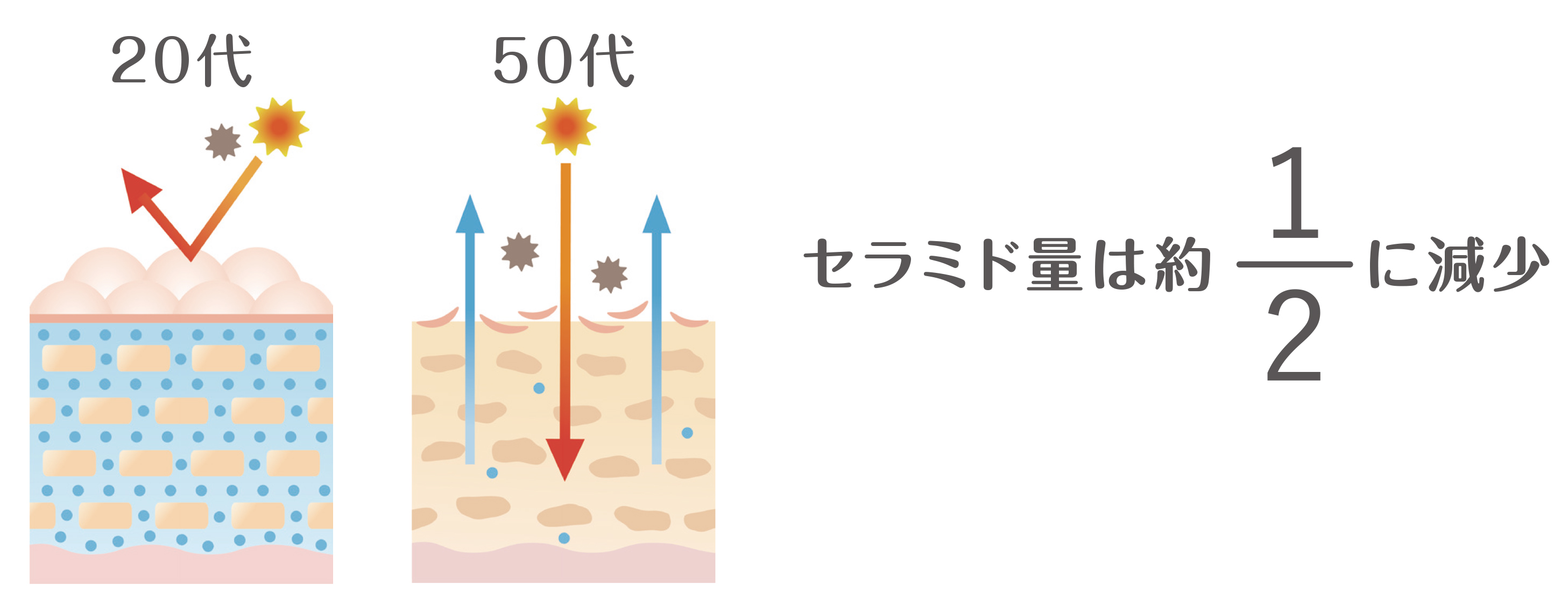 ペレ・グレイス |スキンケアシリーズ・ラカウ|