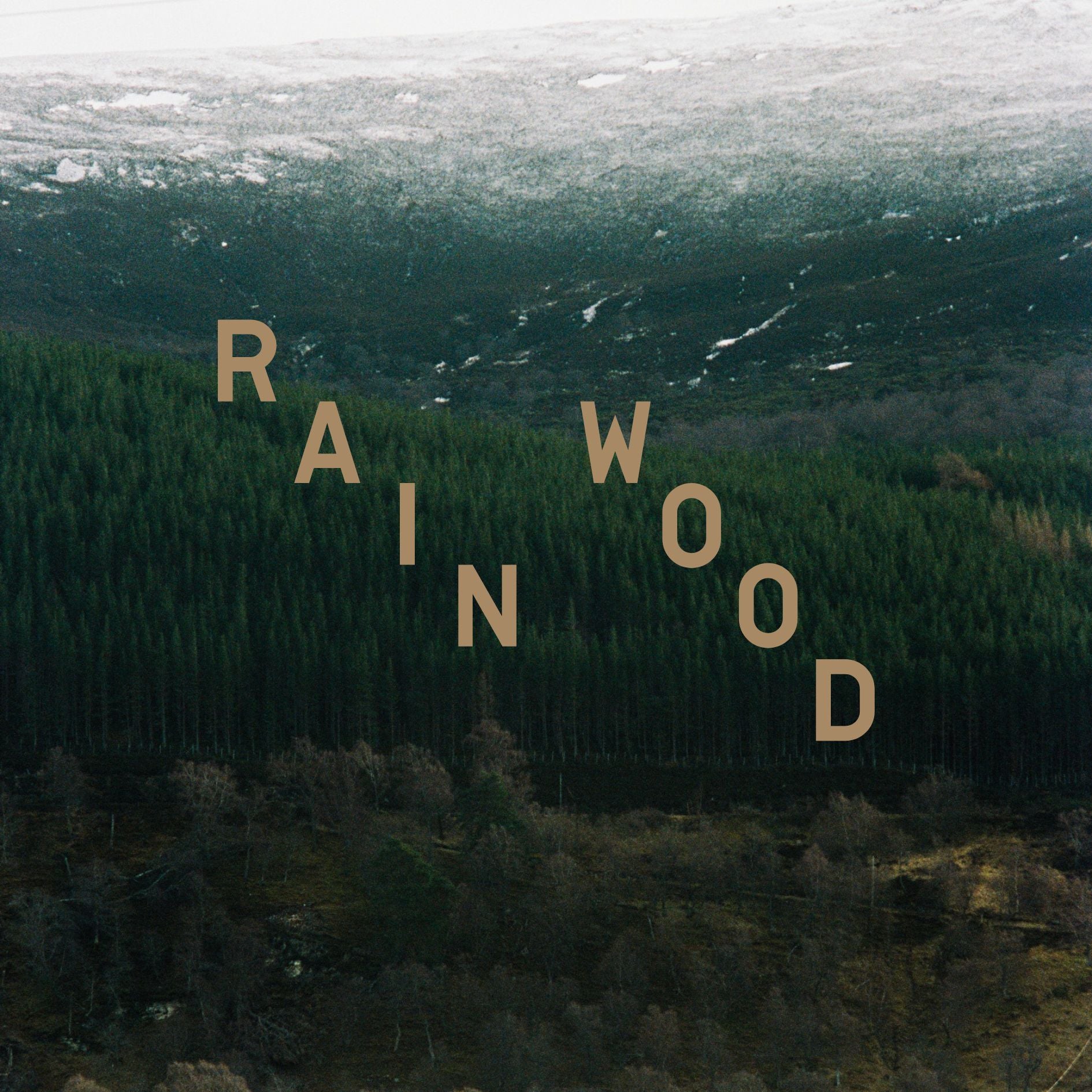 Rain Wood 100ml オードパルファム – Perfumer H