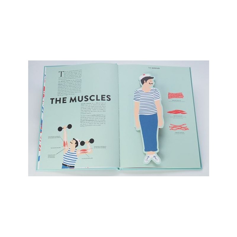 Anatomy: A Cutaway Look Inside the Human Body - Teşvikiye Patika