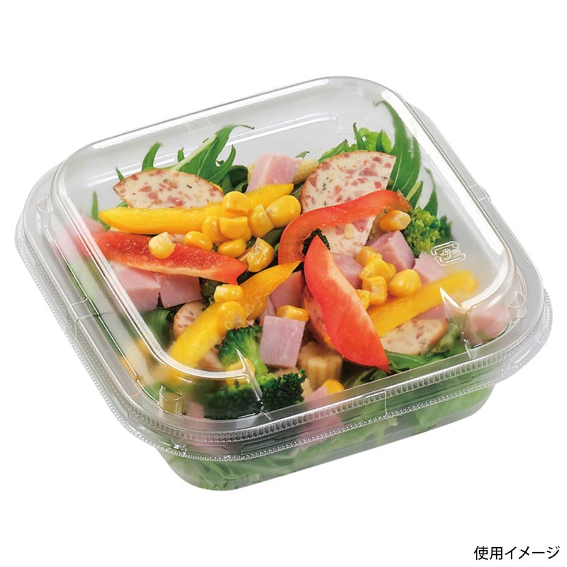 サラダ容器 APベジBOX 150-550 本体 エコ エフピコ | テイクアウト容器