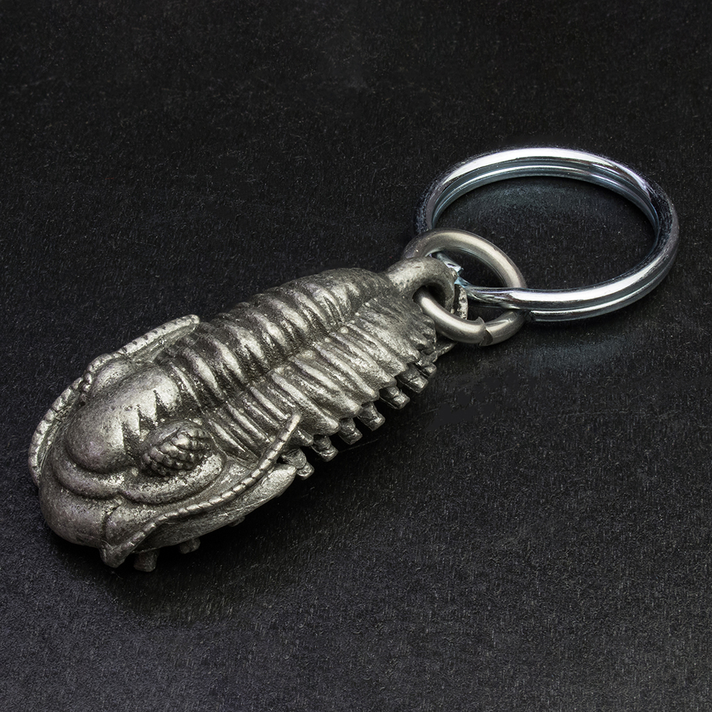 三葉虫キーホルダー001｜恐竜・化石グッズの専門店 ふぉっしる
