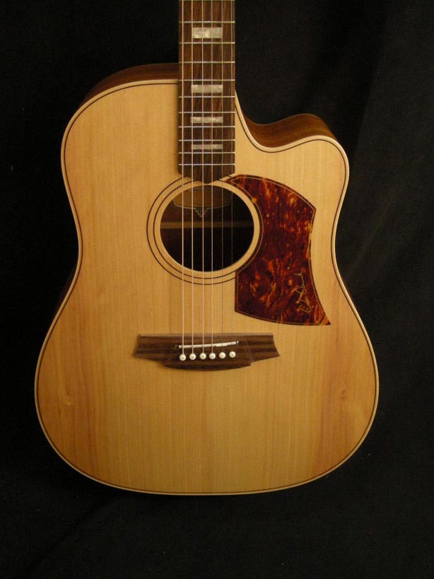 Paramount Guitars: Instrument detail - Cole Clark FL2AC