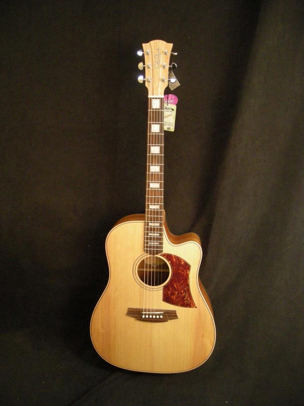 Paramount Guitars: Instrument detail - Cole Clark FL2AC