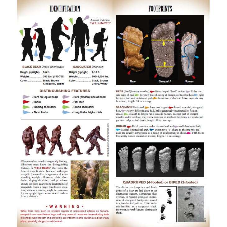 Sasquatch Field Guide - Folding Pocket Guide - Paracay