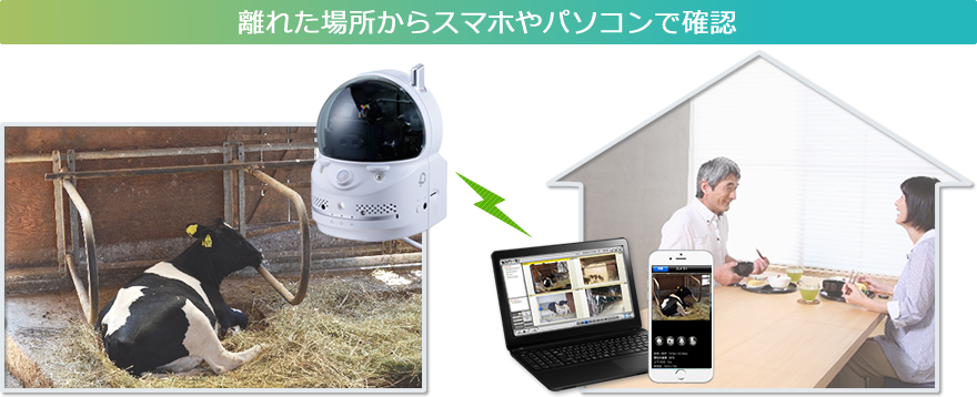 カメラ一発！｜CS-W70HD｜PLANEX