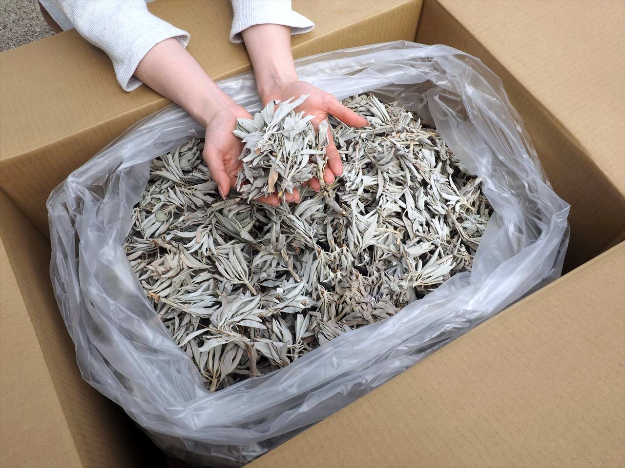 業界最安！】◇業務用 山盛り箱売り◇大特価！まとめ買いだからさらに