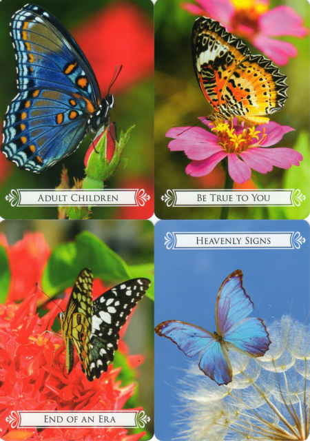 バタフライオラクルカード』（専用日本語解説書付き） 商品詳細