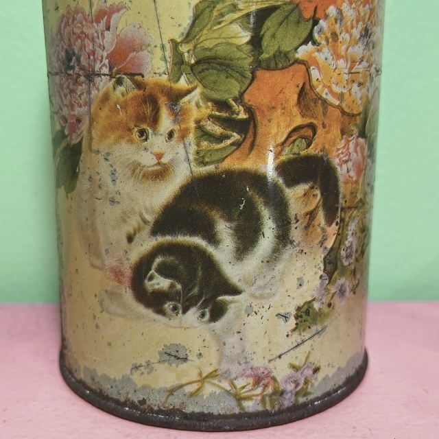 ヴィンテージティン缶/猫ちゃん/茶缶/大阪/南堀江/ピサヌローク
